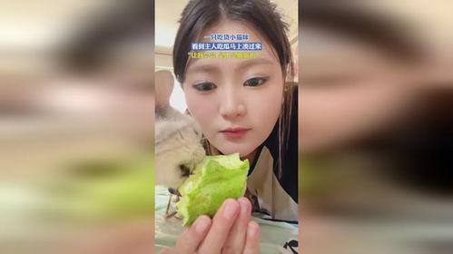 小主儿娱乐吃瓜  第2张