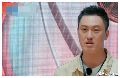 娱乐圈吃瓜新去处,揭秘“吃瓜”新去处，独家爆料一网打尽！  第2张