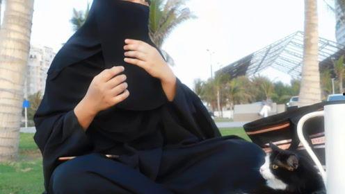 娱乐吃瓜君mv,揭秘娱乐圈背后的秘密与笑料  第2张