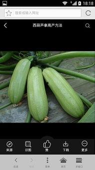 娱乐吃瓜资料来源于什么  第3张