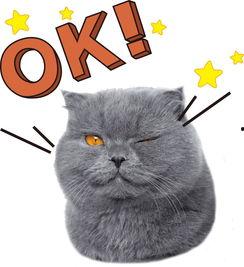 娱乐吃瓜酱猫尾巴,揭秘娱乐圈那些不为人知的幕后故事  第3张