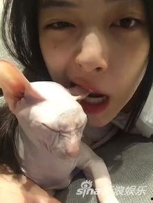 娱乐吃瓜酱虐猫博主,揭秘网络暴力背后的真相  第3张