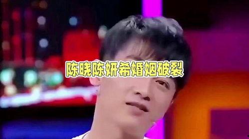 娱乐圈吃瓜陈晓是谁啊,娱乐圈吃瓜群众心中的实力派演员  第3张