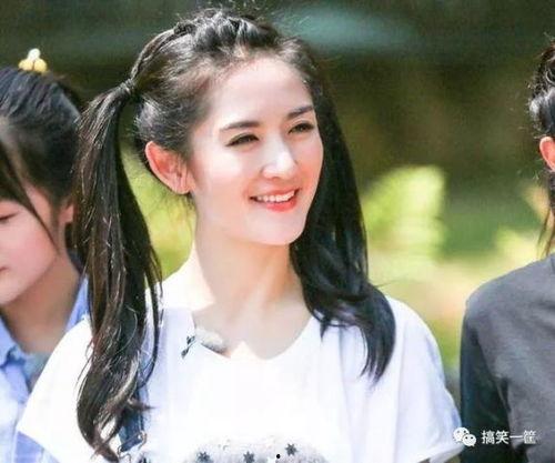 娱乐圈吃瓜谢娜是谁呀,谢娜的娱乐圈影响力  第2张